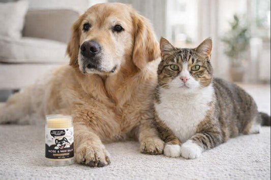 🐾 PupGear Paw Balm™