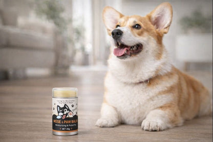 🐾 PupGear Paw Balm™