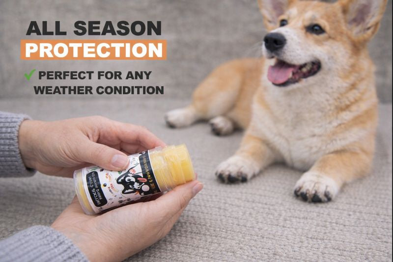 🐾 PupGear Paw Balm™