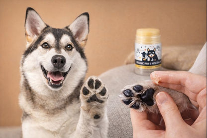 🐾 PupGear Paw Balm™