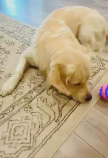 PupGear MotionBall™