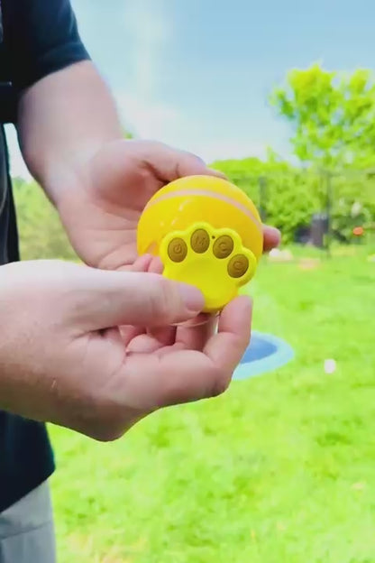 PupGear MotionBall™